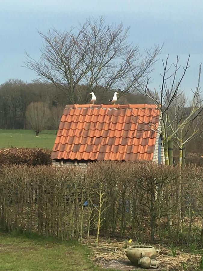 B&B De Hostelier Ursel Eksteriør bilde